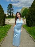 Blueberry Dress