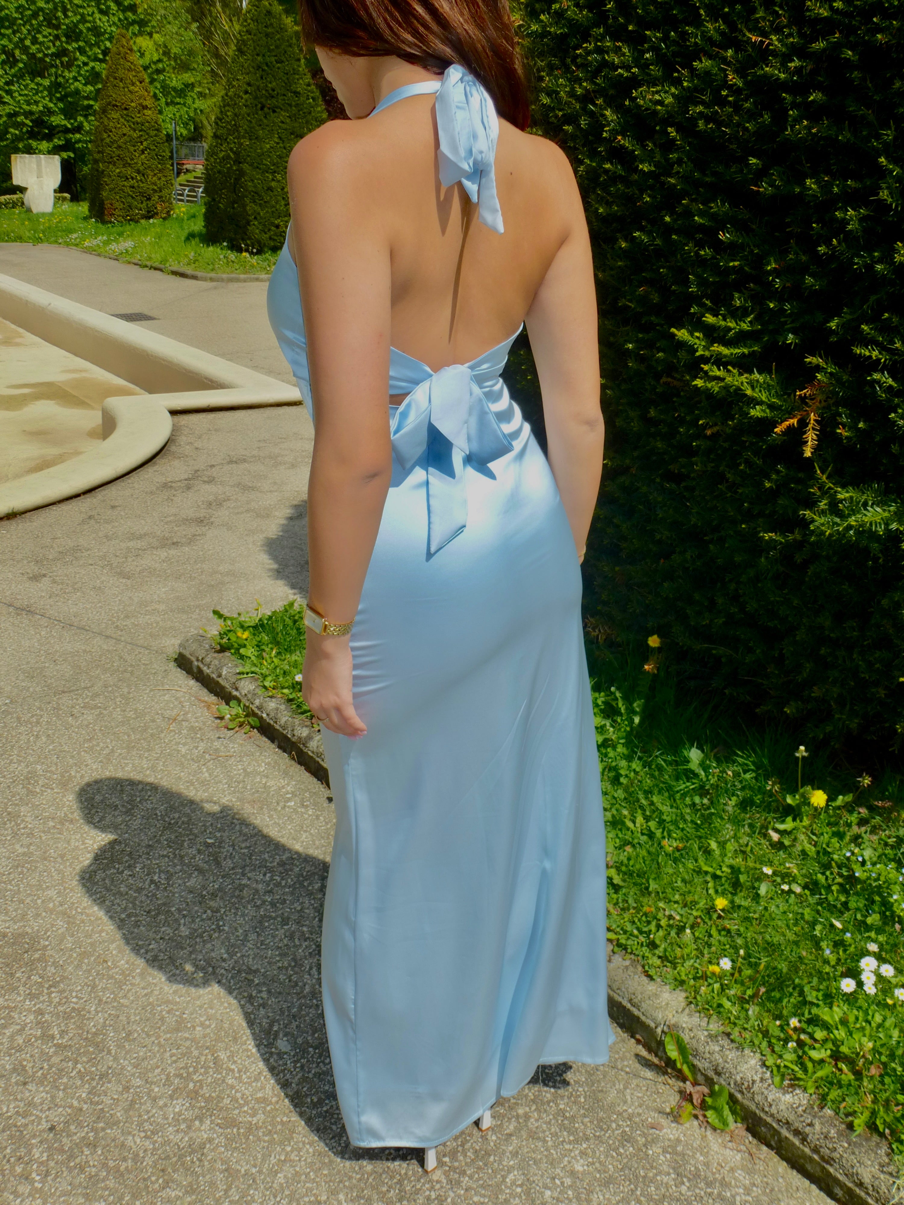 Blueberry Dress